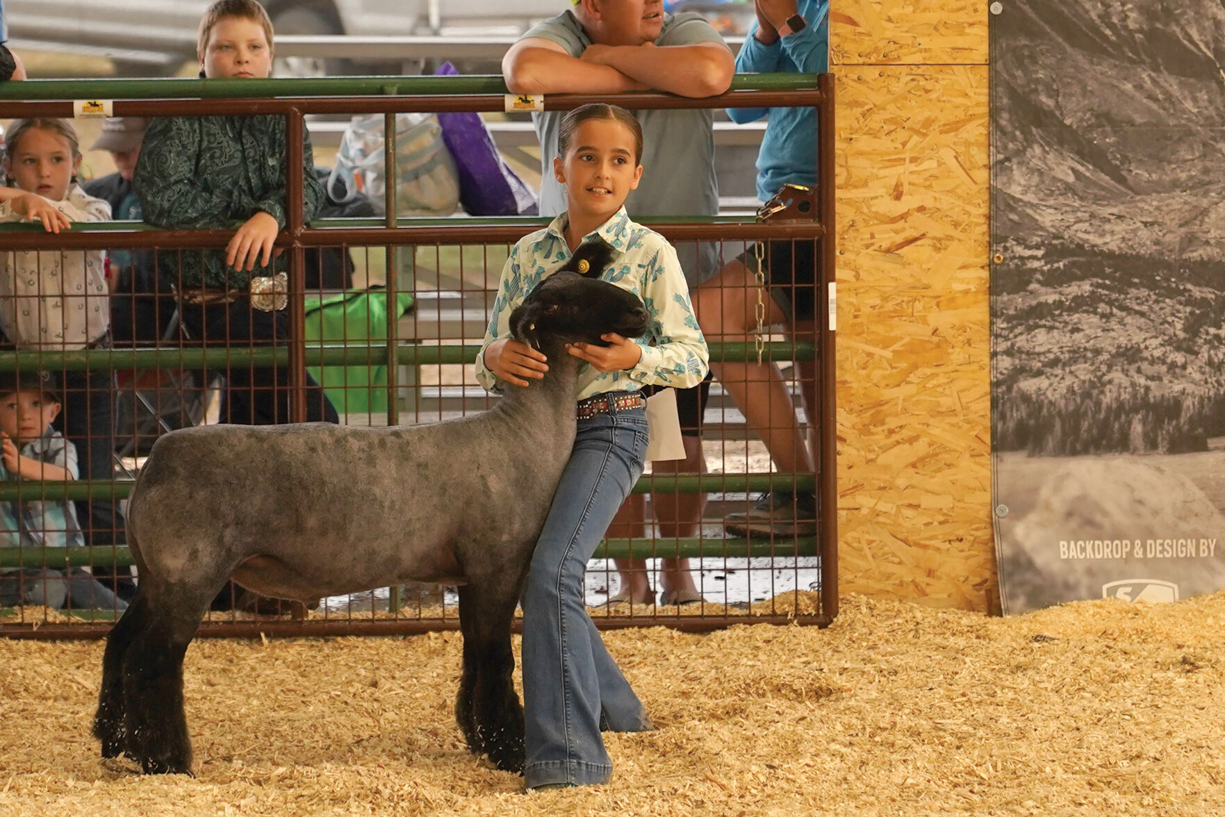 Sheep Show Standalones 006.jpg